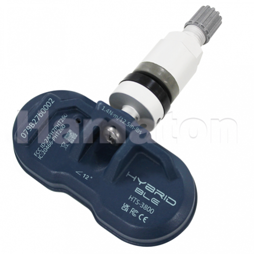 TPMS EU-Pro Hybrid bluetooth Tesla- Silver Clamp-In - nhatchtsb10bm0000.jpg